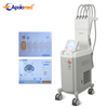 Vertical Safe Laser Machine Body Diode Laser Body Sculpture